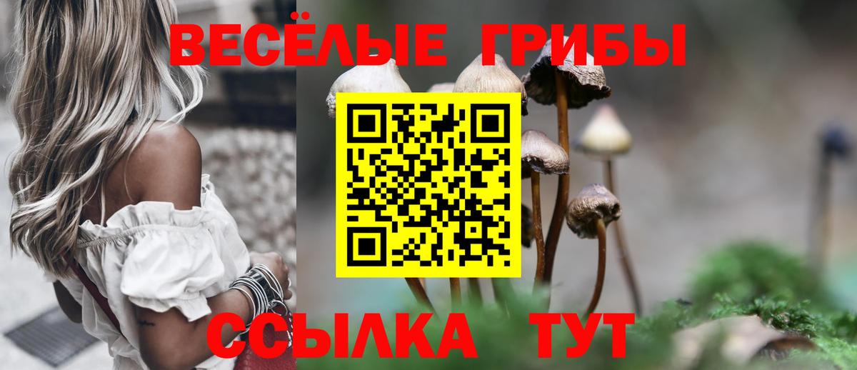 Псилоцибиновые грибы Psilocybe  Вход с VPN  Среднеуральск  Псилоцибиновые грибы прущие грибы 